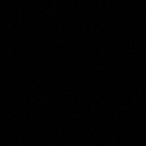 Meet your Posher, Bella